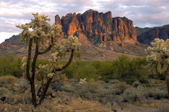 Картинка природа горы скалы