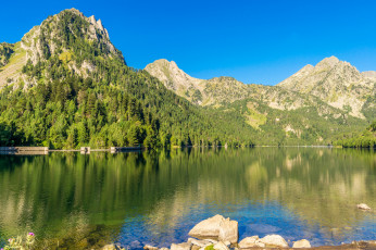 Картинка природа реки озера лес река