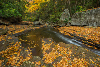 Картинка природа реки озера лес река