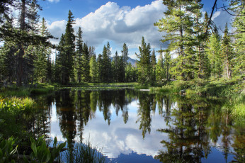 Картинка природа реки озера река лес