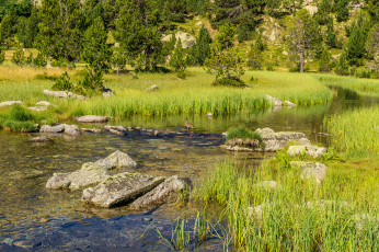 Картинка природа реки озера река лес