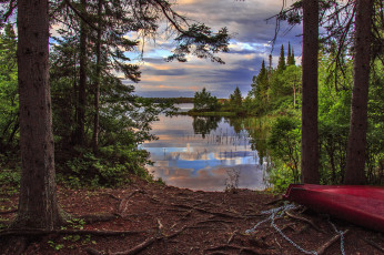 Картинка природа реки озера река лес