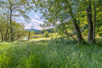 Картинка природа реки озера река лес