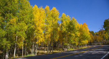 Картинка природа дороги тракт