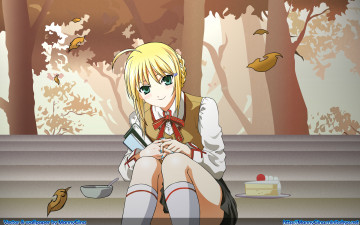 Картинка аниме fate stay+night сейбер