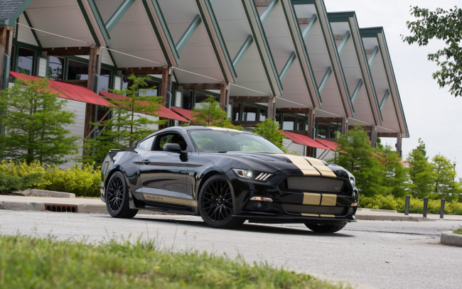 Обои картинки фото автомобили, mustang, мустанг, форд, ford