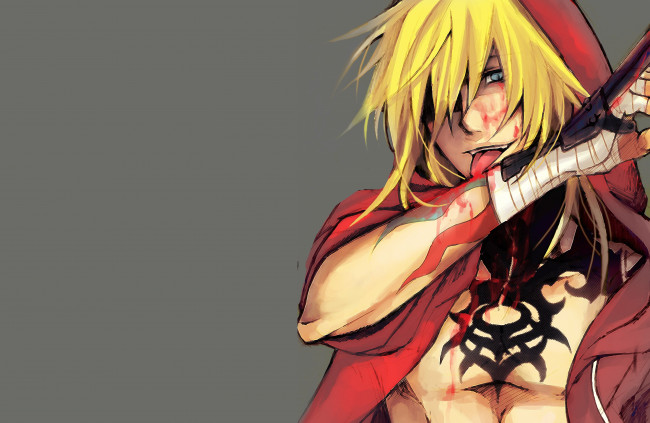 Обои картинки фото аниме, togainu no chi, парень