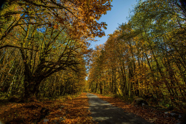 Обои картинки фото природа, дороги, тракт