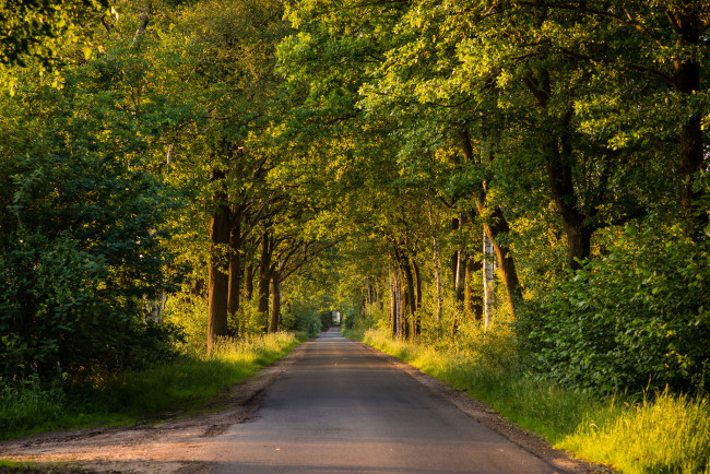 Обои картинки фото природа, дороги, тракт