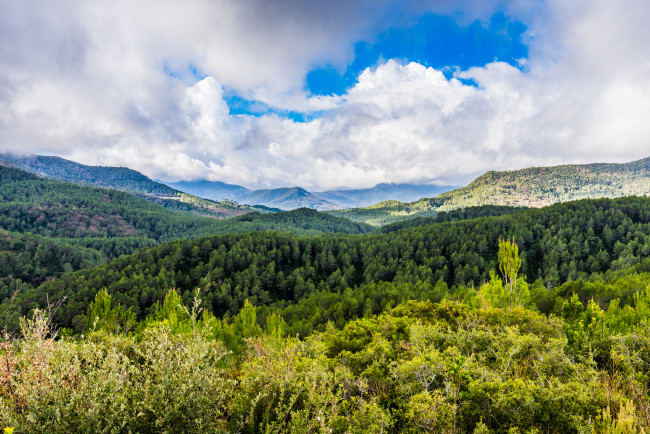 Обои картинки фото природа, пейзажи, простор