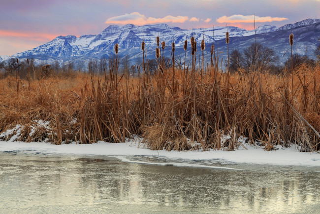 Обои картинки фото природа, реки, озера, лес, река