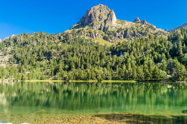 Обои картинки фото природа, реки, озера, река, лес