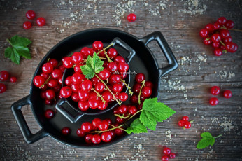 Картинка еда смородина ягода миска