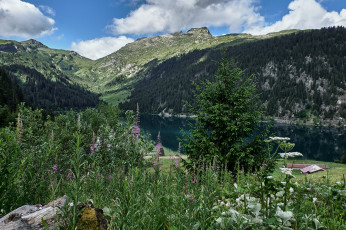 Картинка природа реки озера простор