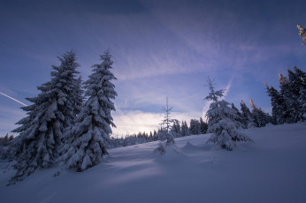 Картинка природа зима простор