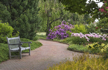 Картинка природа парк цветы дорожка скамейка деревья