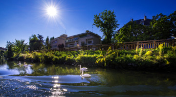 Картинка франция города -+улицы +площади +набережные лебеди водоем солнце здания деревья