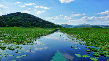 Картинка природа реки озера простор