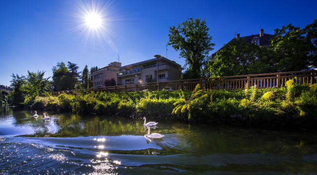 Обои картинки фото франция, города, - улицы,  площади,  набережные, лебеди, водоем, солнце, здания, деревья