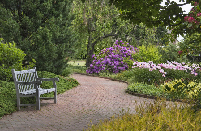 Обои картинки фото природа, парк, цветы, дорожка, скамейка, деревья