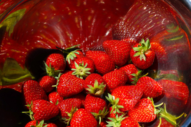 Обои картинки фото еда, клубника,  земляника, ягоды
