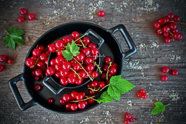 Обои картинки фото еда, смородина, ягода, миска