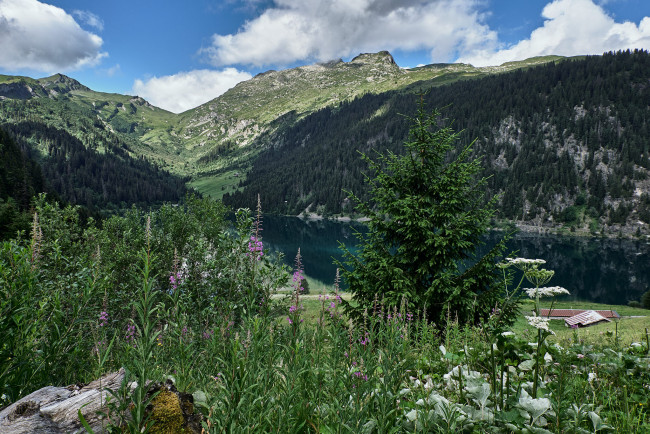 Обои картинки фото природа, реки, озера, простор