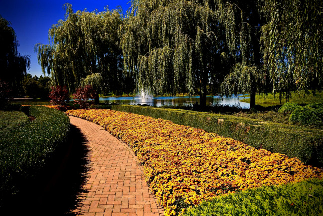 Обои картинки фото природа, парк, водоем, цветы, деревья, кустарники