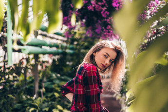 Картинка девушка девушки -unsort+ блондинки +светловолосые модель