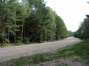 Картинка природа дороги дорога проселочная