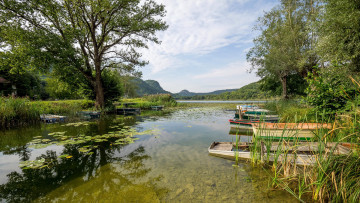 Картинка корабли лодки +шлюпки заводь река лето