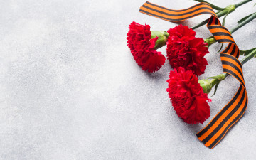 Картинка праздничные день+победы георгиевская лента гвоздика 9 мая