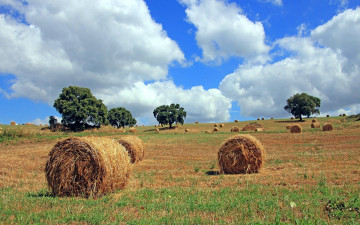 Картинка природа поля стога