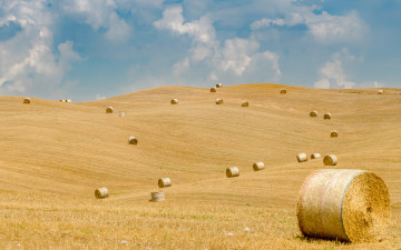 Картинка природа поля тюки солома поле