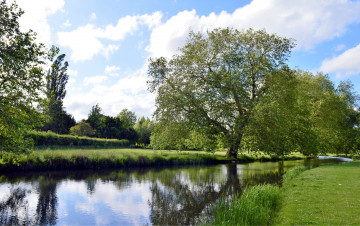 Картинка природа реки озера лето река