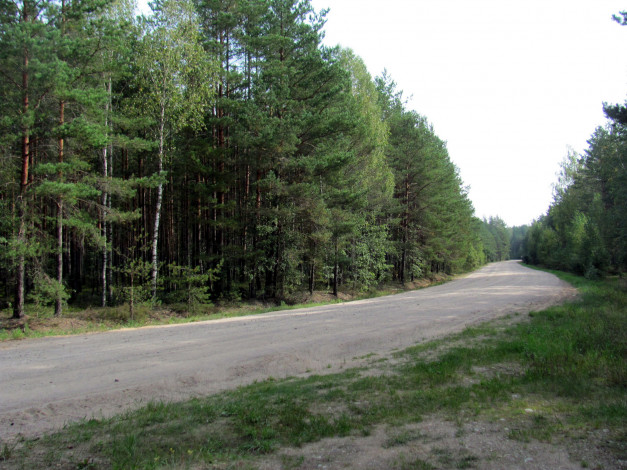 Обои картинки фото природа, дороги, дорога, проселочная