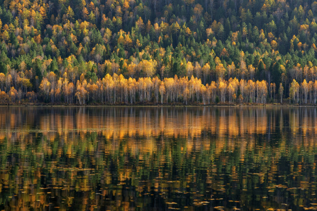 Обои картинки фото природа, реки, озера, forrest