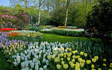 Картинка keukenhof the+netherlands природа парк the netherlands