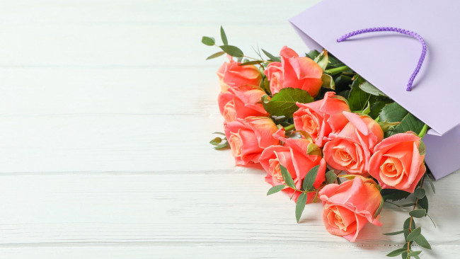 Обои картинки фото цветы, розы, бутоны