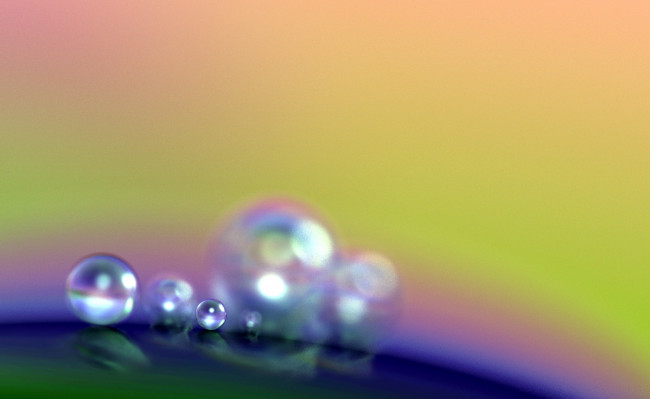 Обои картинки фото разное, капли,  брызги,  всплески, роса