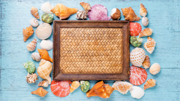 Картинка разное ракушки +кораллы +декоративные+и+spa-камни рамка