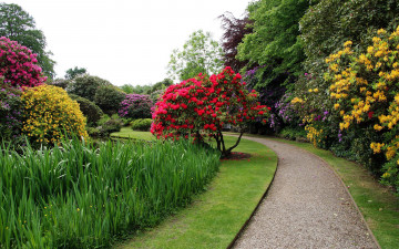 Картинка biddulph+grange+garden england природа парк biddulph grange garden