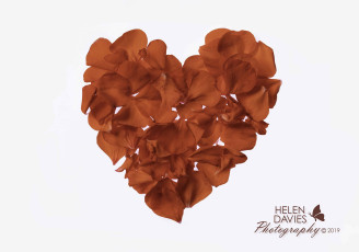 Картинка праздничные день+святого+валентина +сердечки +любовь helen davies