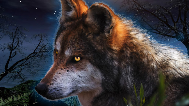Обои картинки фото разное, компьютерный дизайн, волк
