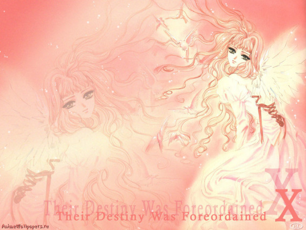 Обои картинки фото аниме