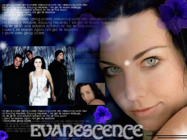 Обои картинки фото музыка, evanescence