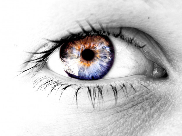 Обои картинки фото разное, глаза
