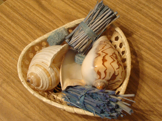 Обои картинки фото разное, ракушки, кораллы, декоративные, spa, камни