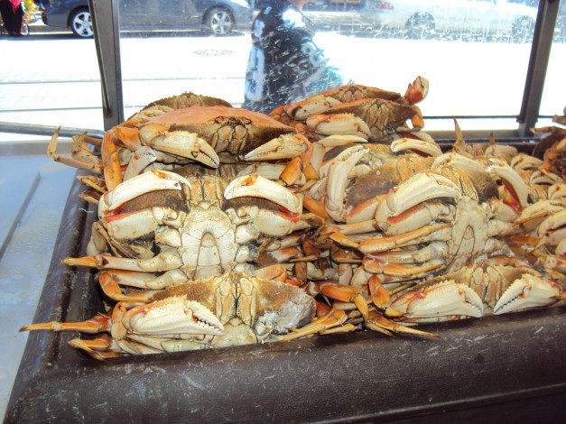 Обои картинки фото еда, рыба, морепродукты, суши, роллы