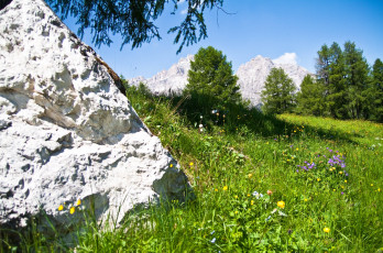 Картинка природа горы альпы